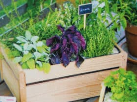 Sérigraphie d'étiquettes de potager effaçables rendu ardoise