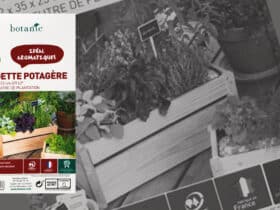 Sérigraphie d'étiquette PVC pour les points de vente Botanic